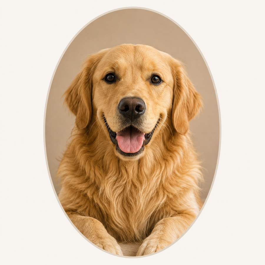 For Dogs