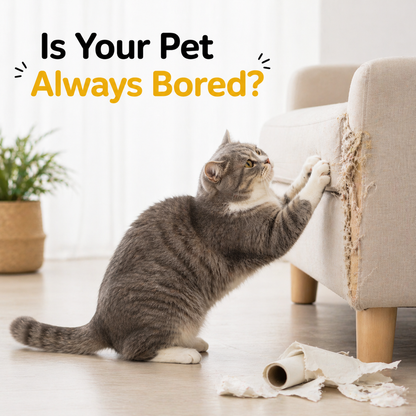 Nexora™ Smart Interactive Cat Hunting Play Mat
