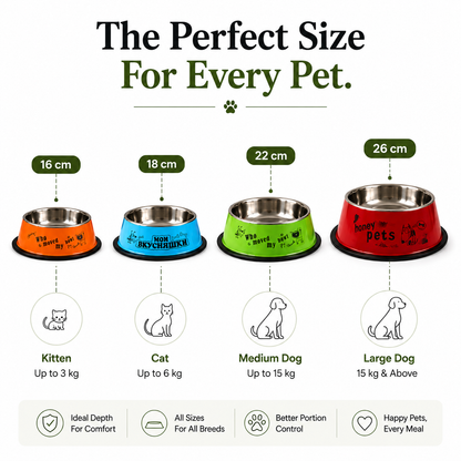 Nexora™ SteelServe Classic — Premium Stainless Steel Anti-Slip Pet Feeding Bowl (4 Sizes)
