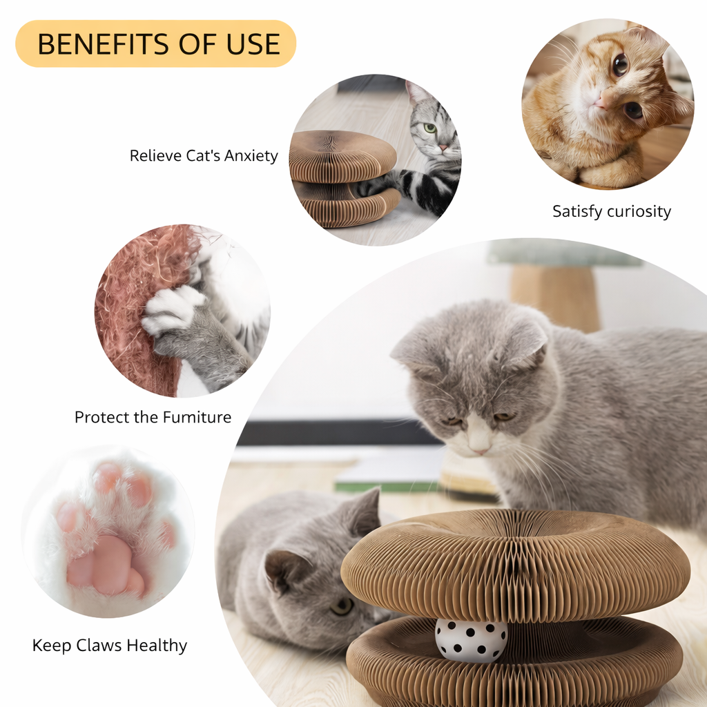 Nexora™ 3-in-1 Interactive Cat Scratcher Toy – Play, Scratch & Hide