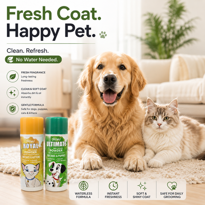Nexora™ FreshCare Waterless Dry Clean Powder — No-Rinse Grooming Powder for Dogs, Puppies, Cats & Kittens with Long-Lasting Fresh Fragrance
