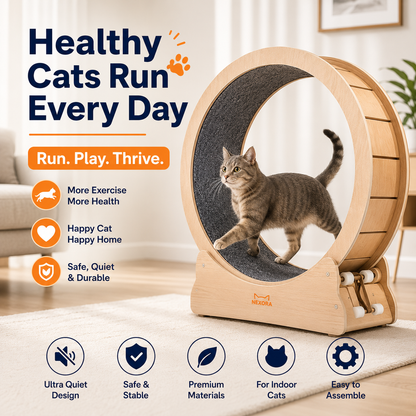 Nexora™ CatFit Exercise Wheel — Silent Indoor Running Wheel for Healthy, Happy & Active Cats