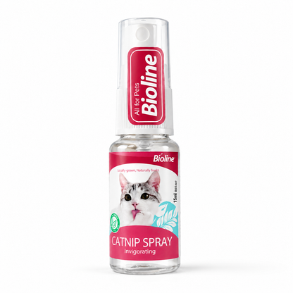 Nexora™ PlayMist Catnip Spray — Natural Catnip Spray for Toys, Scratchers, Beds & Playtime | Stimulates Play, Reduces Boredom & Encourages Healthy Activity