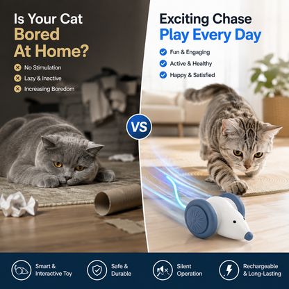Nexora™ TurboMouse Racer — USB Rechargeable Interactive Cat Chase Toy