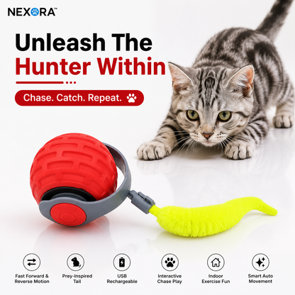 Nexora™ TurboTail Ball — Rechargeable Interactive Cat Chase Toy