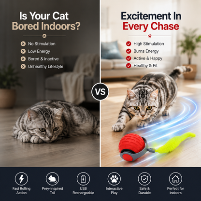 Nexora™ TurboTail Ball — Rechargeable Interactive Cat Chase Toy