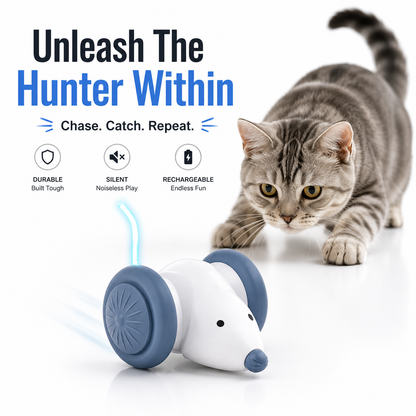 Nexora™ TurboMouse Racer — USB Rechargeable Interactive Cat Chase Toy
