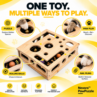Nexora™ PawPuzzle Cat Scratch & Interactive Puzzle Toy