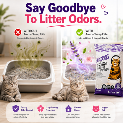 Nexora™ AromaClump Elite — Premium 10L Bentonite Cat Litter With Fast Clumping & 5 Fresh Fragrances