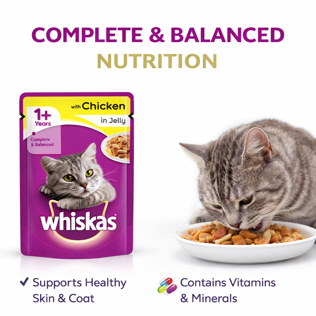Nexora™ Whiskas® Chicken in Jelly – Wet Cat Food