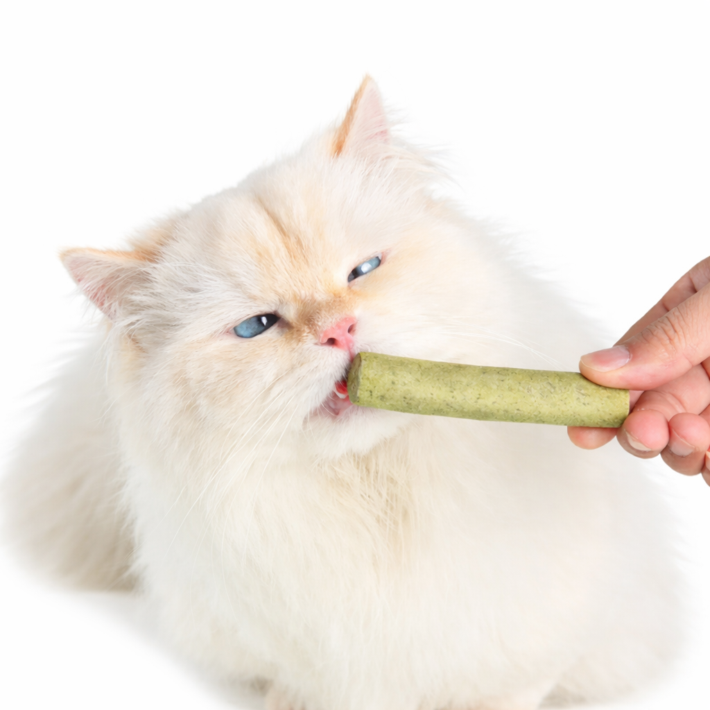 Nexora™ Feline Dental Grass Chews – 6-Piece Pack