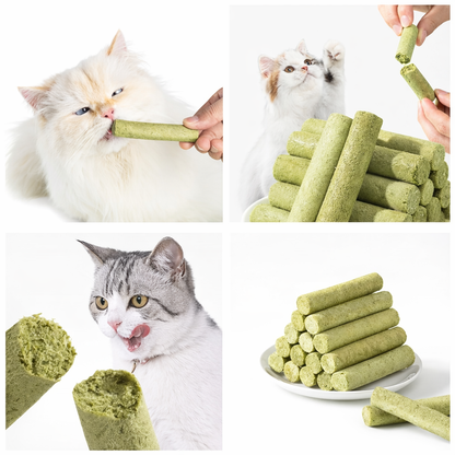 Nexora™ Feline Dental Grass Chews – 6-Piece Pack