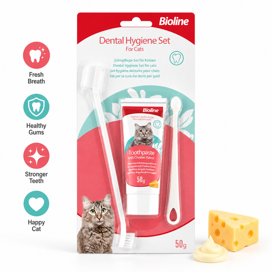 Nexora™ Cat Dental Care Kit — Complete Toothbrush & Cheese-Flavored Toothpaste Set for Fresh Breath, Healthy Teeth & Daily Oral Hygiene