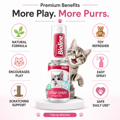 Nexora™ PlayMist Catnip Spray — Natural Catnip Spray for Toys, Scratchers, Beds & Playtime | Stimulates Play, Reduces Boredom & Encourages Healthy Activity