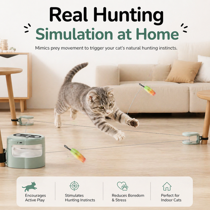 Nexora™ Smart Hunt Pro — Automatic Cat Exercise System