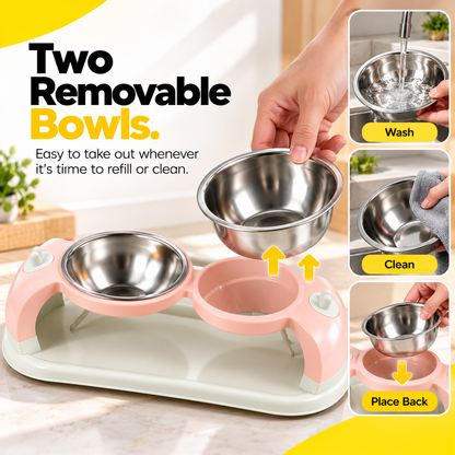 Nexora™ Elevated Dual Stainless Steel Pet Bowl