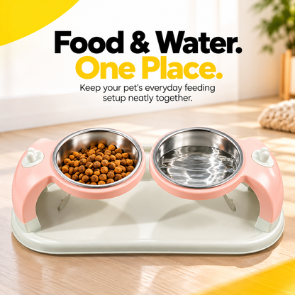 Nexora™ Elevated Dual Stainless Steel Pet Bowl